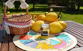 Il Borghetto Apartments&Rooms